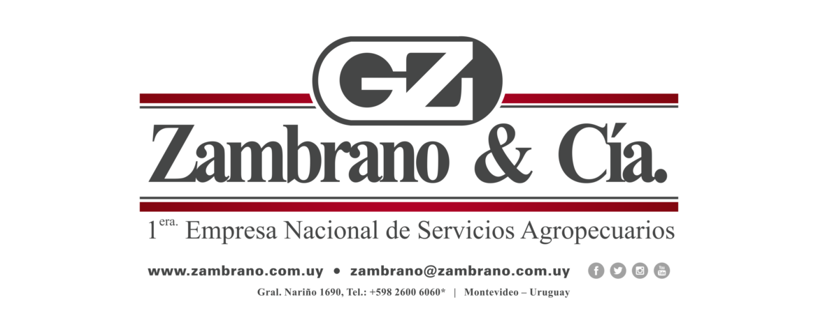 10679_logo-zambrano-nuevo-1.png